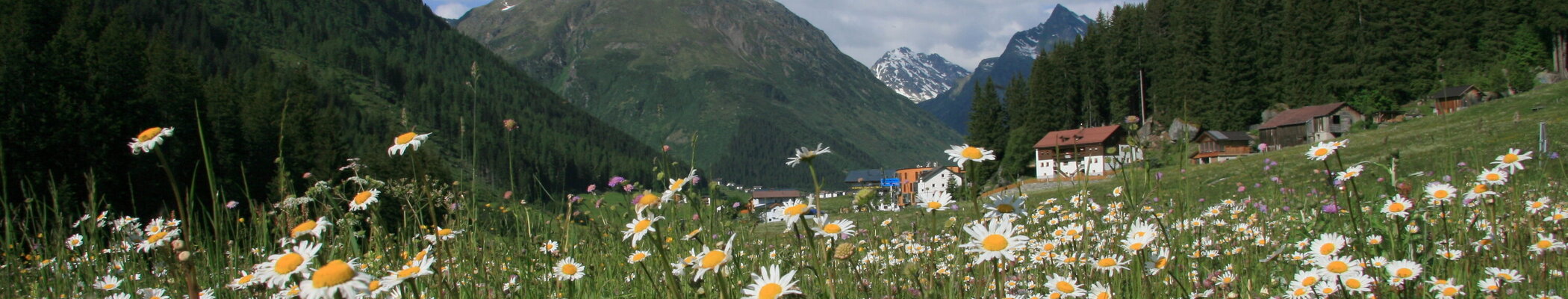 Blumenwiese in Galtür